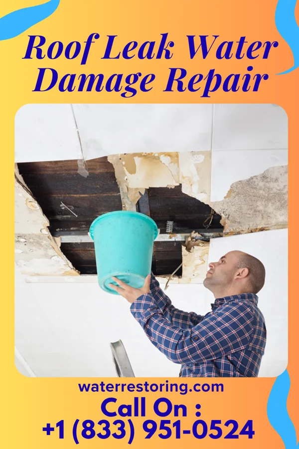 Roof Leak Water Damage Repair in Fort Calhoun, NE