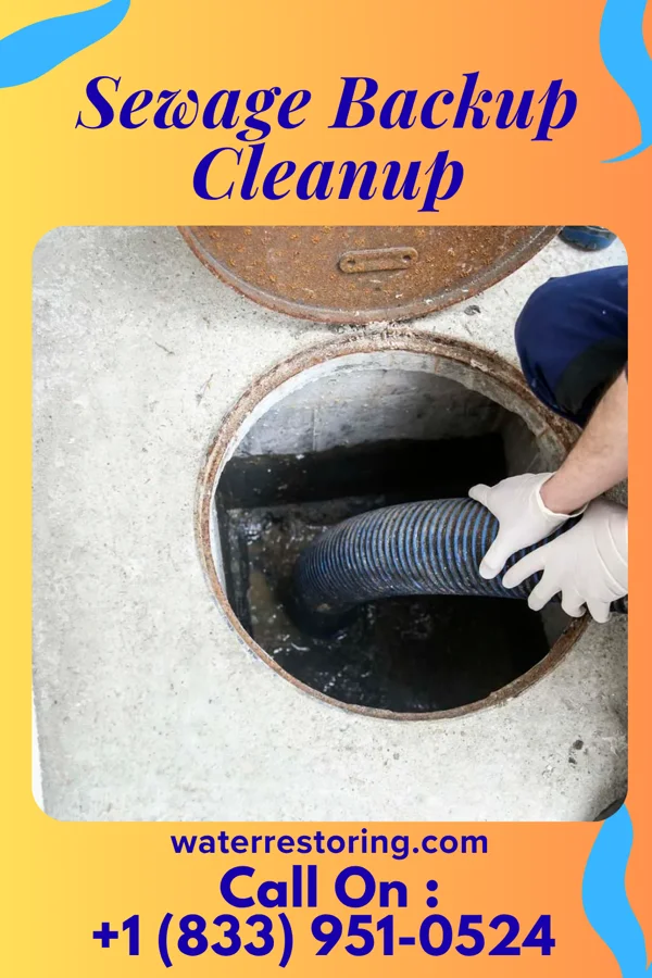 Sewage Backup Cleanup in Fort Calhoun, NE
