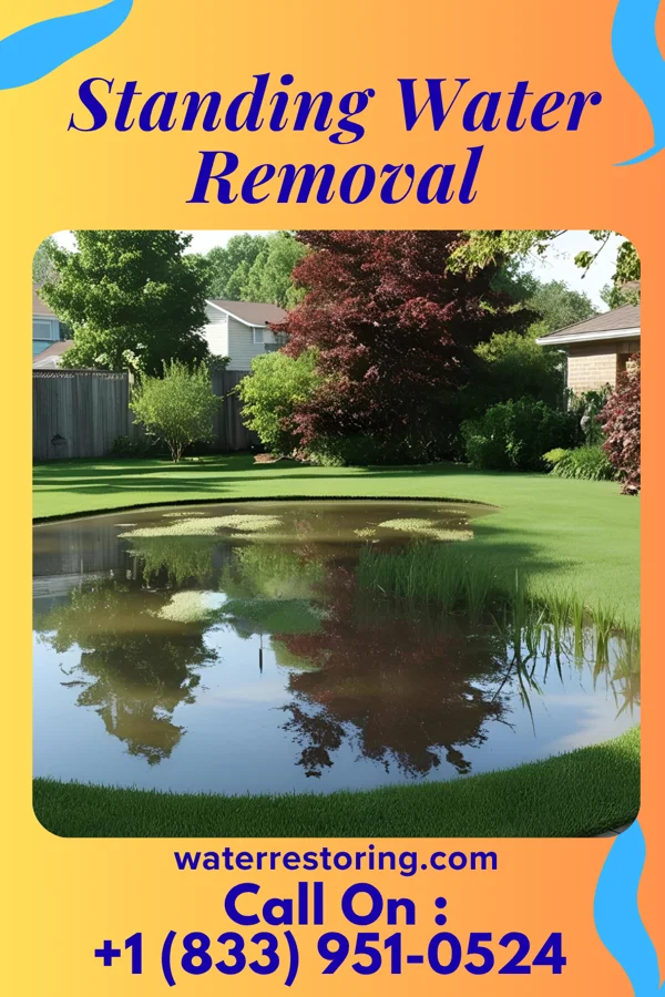 Standing Water Removal in Fort Calhoun, NE